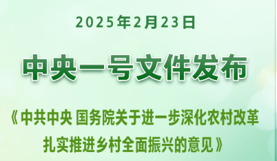 新华社权威快报｜2025年中央一号文件发布