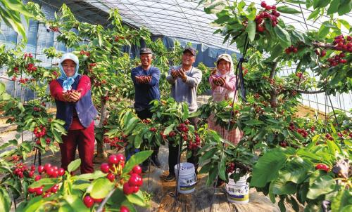 9cc6e34b431606351cf03db117bea98c 9cc6e34b431606351cf03db117bea98c