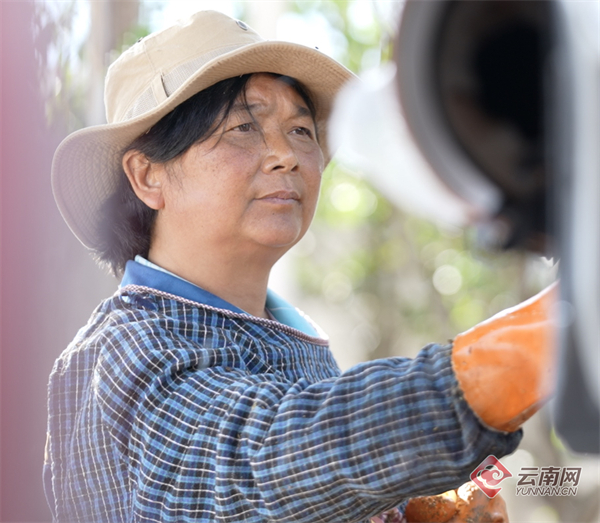 00307029746_ae17350b 00307029746_ae17350b