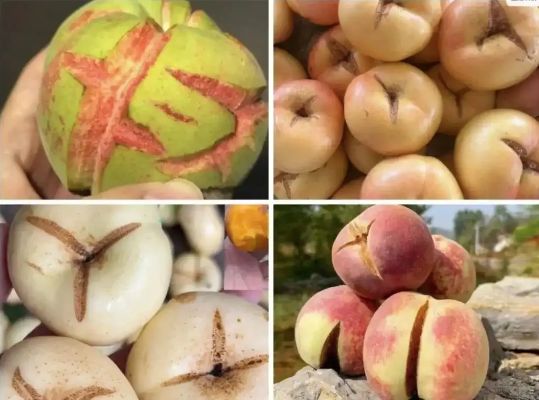 QQ20250711-080550 QQ20250711-080550